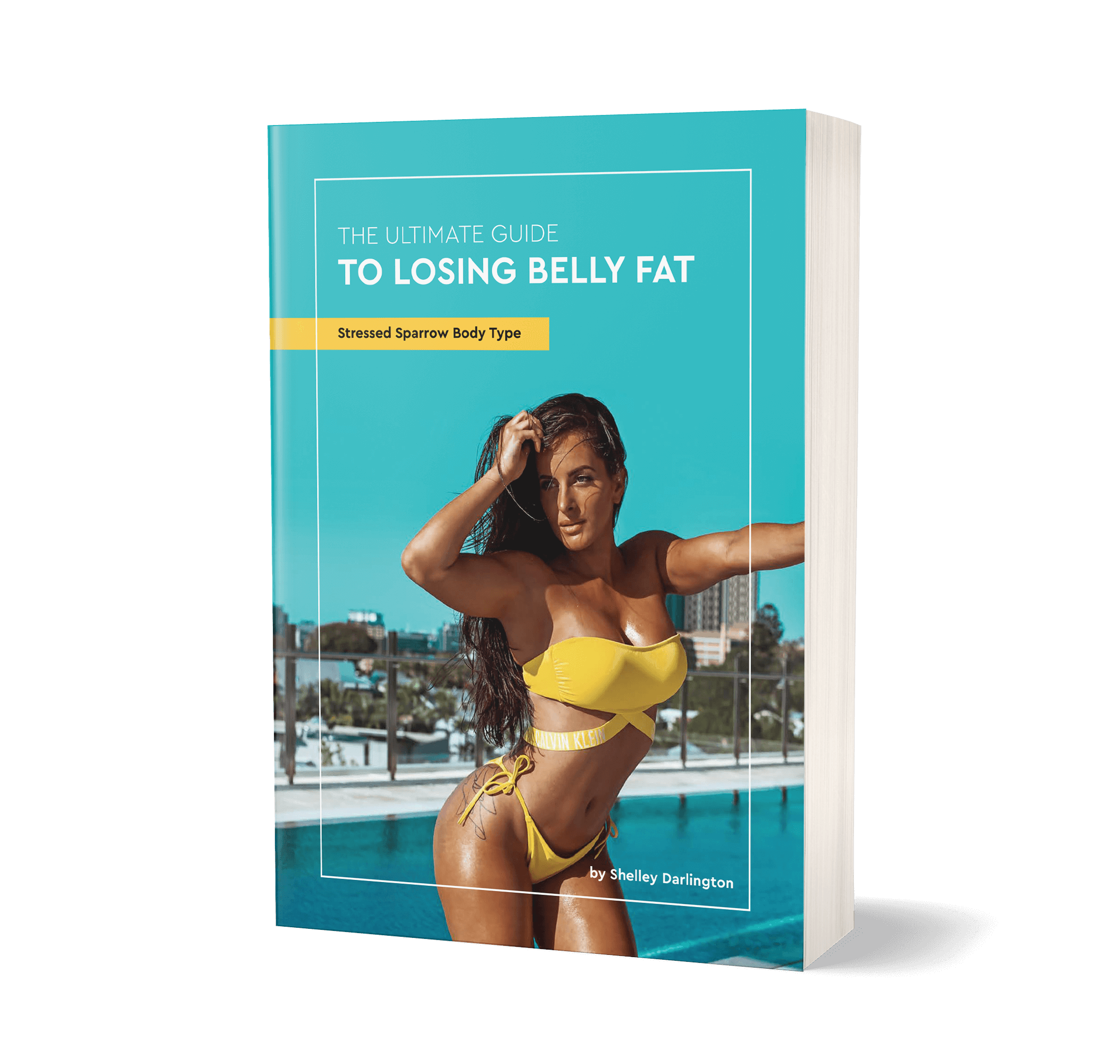 The Ultimate Guide to Losing Belly Fat (stressed sparrow)